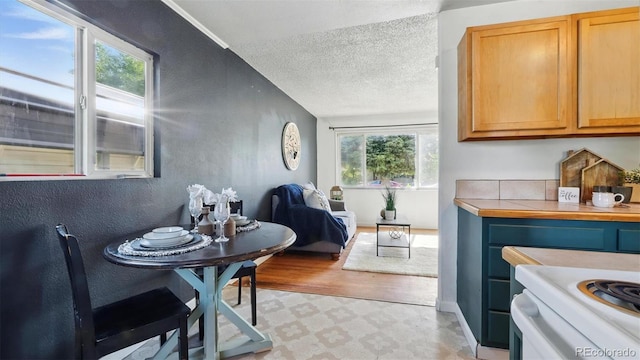 1930 S Prospect Ave, Colorado Springs, CO 80905 - dining area featuring light floors and a textured ceiling