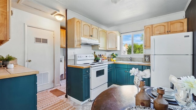 1930 S Prospect Ave, Colorado Springs, CO 80905 - kitchen with white appliances, under cabinet range hood, a sink, blue cabinetry, and crown molding