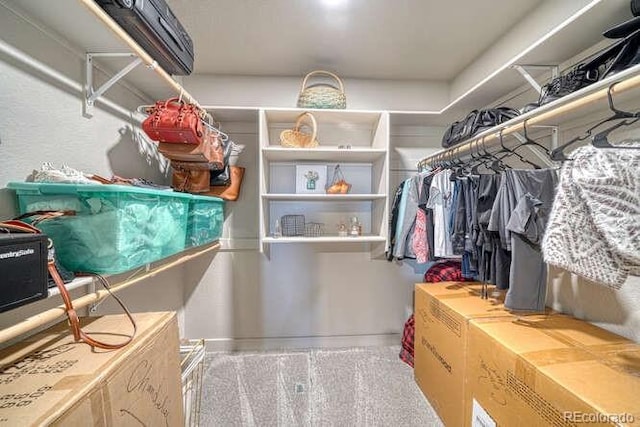 spacious closet featuring carpet flooring