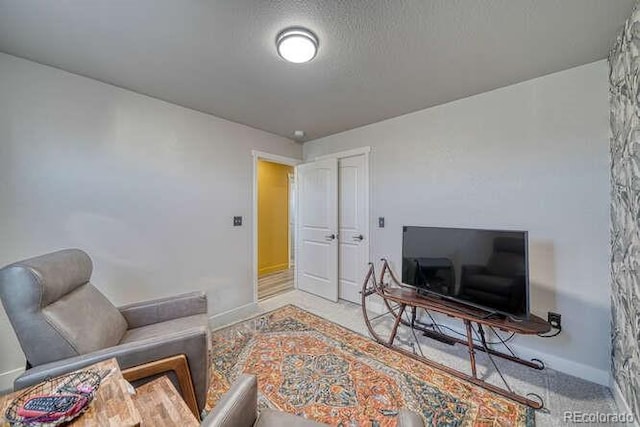 sitting room with a textured ceiling