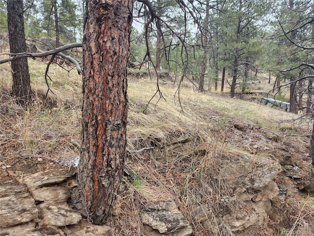 000 Forest Hill Rd, Evergreen CO, 80439 land for sale