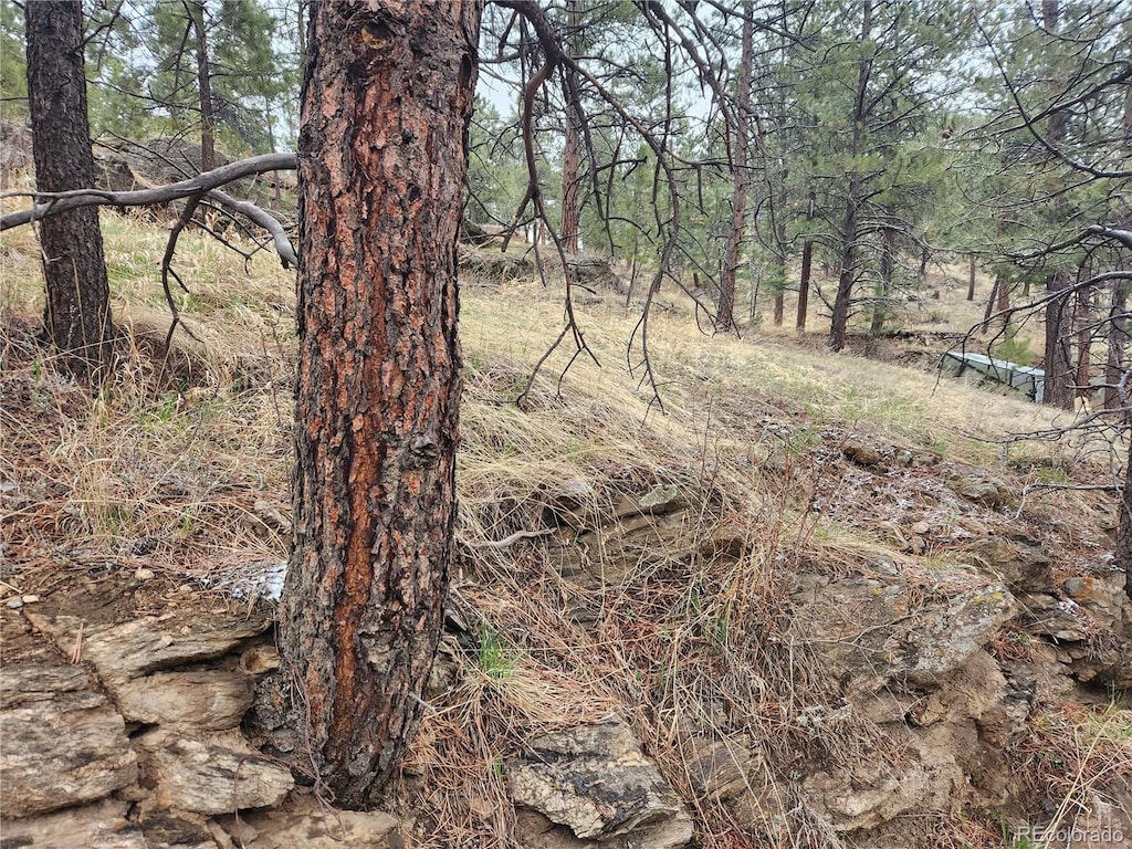 000 Forest Hill Rd, Evergreen, CO 80439 - photo 1