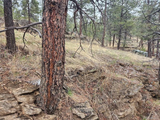 000 Forest Hill Rd, Evergreen, CO 80439 - photo 1