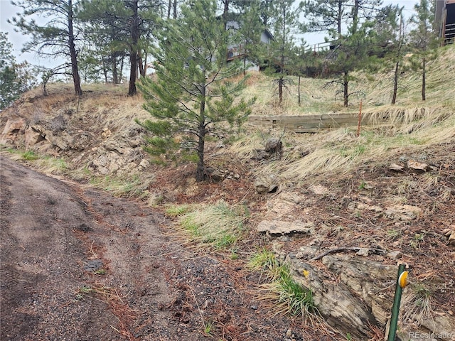 000 Forest Hill Rd, Evergreen, CO 80439 - photo 2