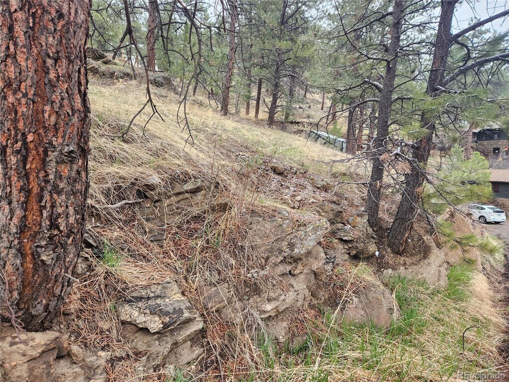 000 Forest Hill Rd, Evergreen, CO 80439 - photo 3