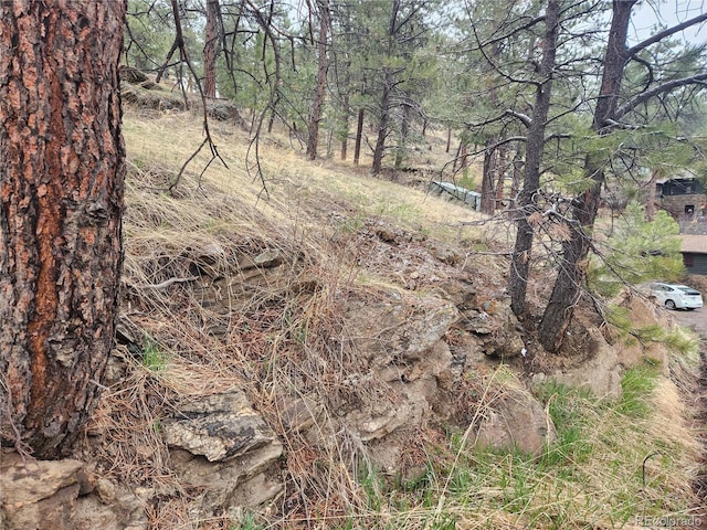 000 Forest Hill Rd, Evergreen, CO 80439 - photo 3
