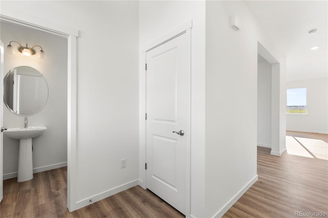 hallway featuring dark wood-type flooring