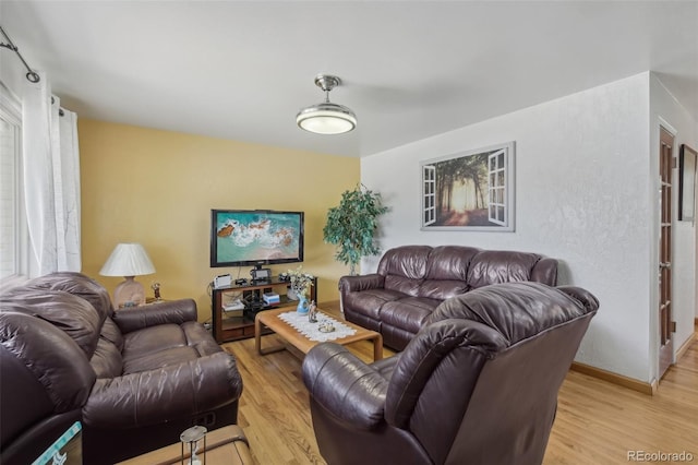 1164 W 101st Pl, Northglenn, CO 80260 - living room with light wood finished floors