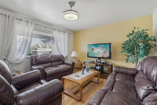 1164 W 101st Pl, Northglenn, CO 80260 - living room featuring wood finished floors