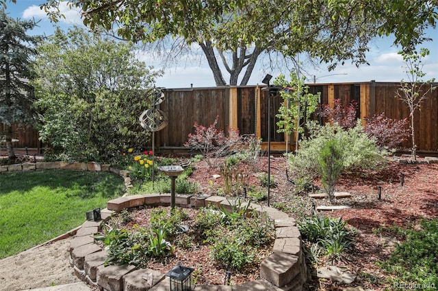 1164 W 101st Pl, Northglenn, CO 80260 - view of yard