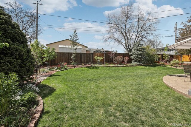 1164 W 101st Pl, Northglenn, CO 80260 - view of yard