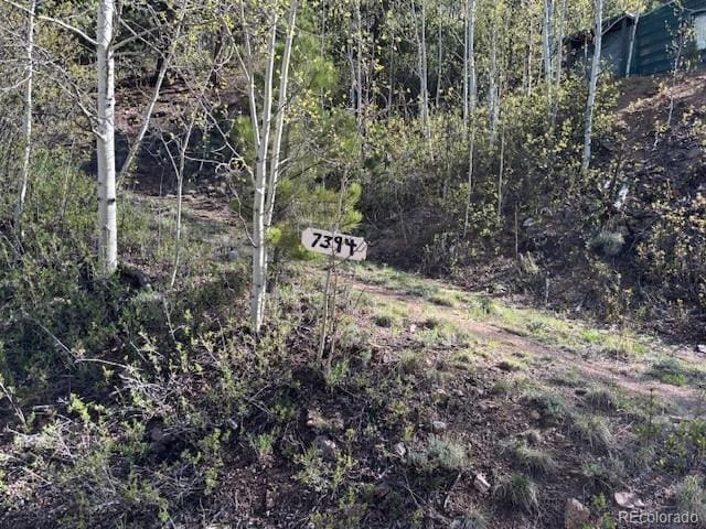 7394 County Road 43, Bailey, CO 80421