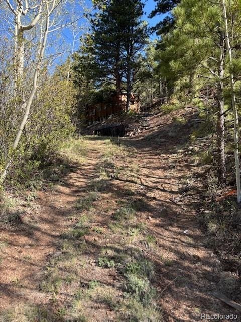 7394 County Road 43, Bailey, CO 80421