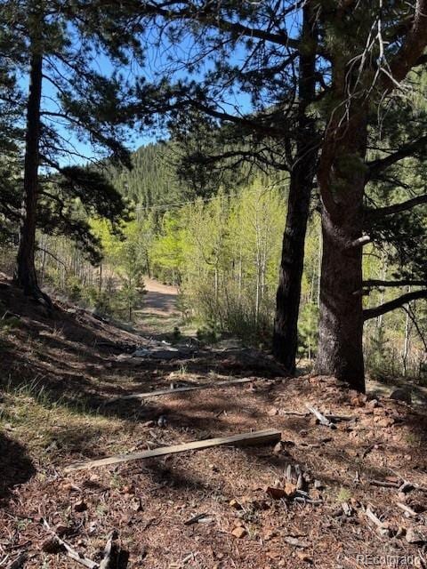 7394 County Road 43, Bailey, CO 80421