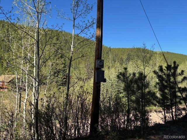 7394 County Road 43, Bailey, CO 80421