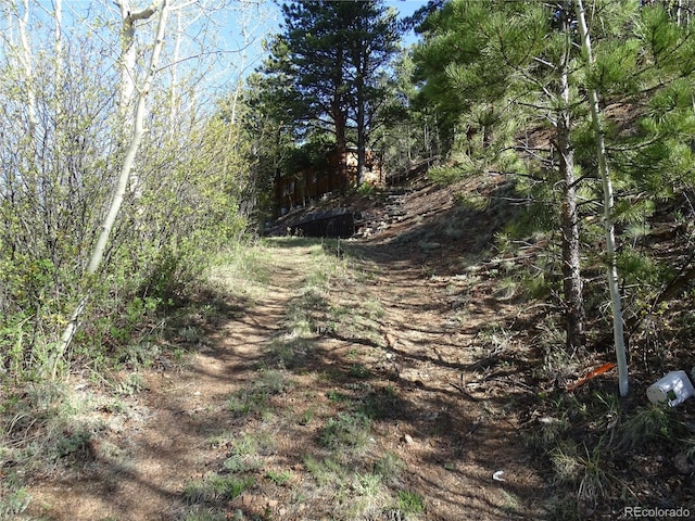 7394 County Road 43, Bailey, CO 80421