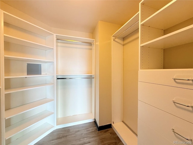 925 N Lincoln St Unit 8H, Denver, CO 80203 - walk in closet featuring dark wood-type flooring