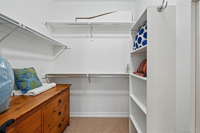 spacious closet featuring light carpet