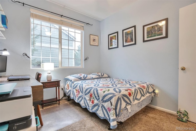 bedroom featuring carpet
