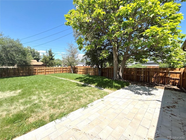 2895 Poplar St, Denver, CO 80207 - photo 18