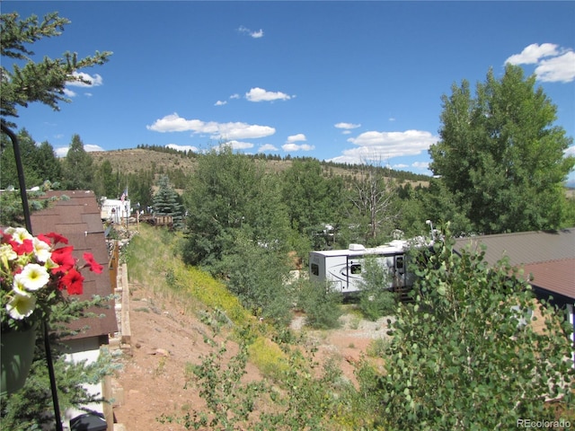 233 Tressel Trl, Hartsel, CO 80449