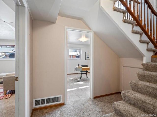 staircase with carpet