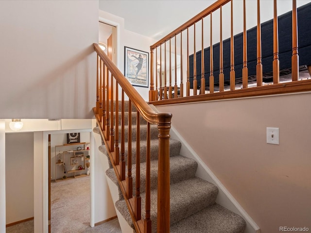 staircase featuring carpet flooring