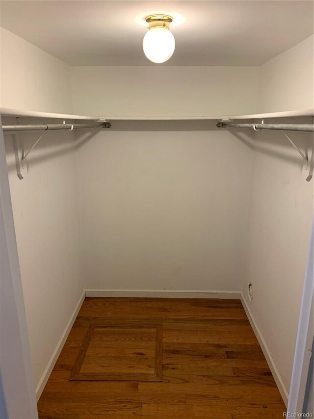 spacious closet featuring dark hardwood / wood-style flooring