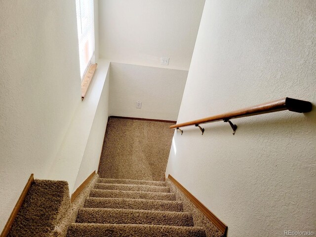 193 S Empress Dr, Pueblo West, CO 81007 - photo 15