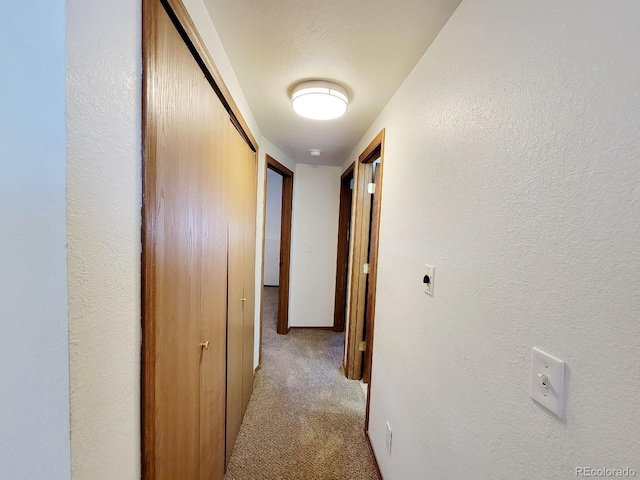 193 S Empress Dr, Pueblo West, CO 81007 - photo 18