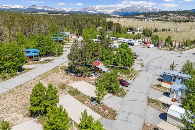 67 Sunshine Park, Fairplay, CO 80440 - photo 17