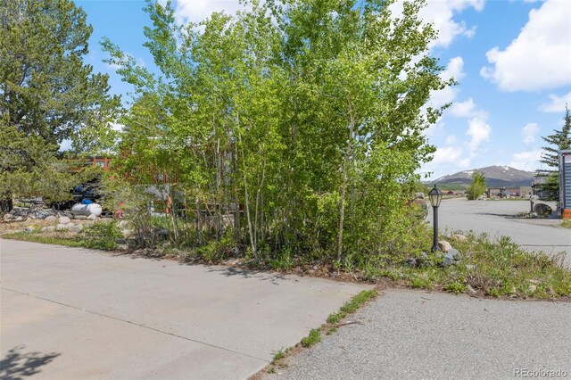 67 Sunshine Park, Fairplay, CO 80440 - photo 24