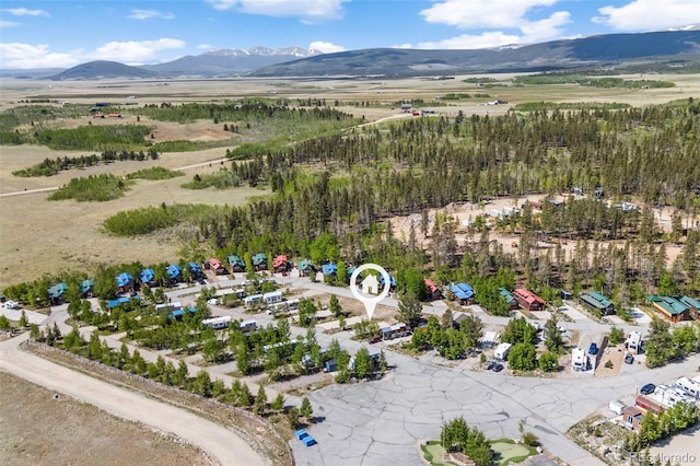 67 Sunshine Park, Fairplay, CO 80440 - photo 27