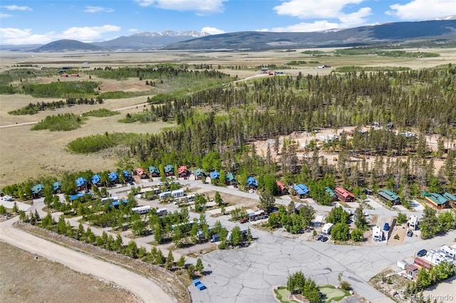 67 Sunshine Park, Fairplay, CO 80440 - photo 28