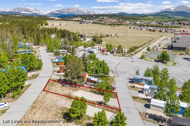 67 Sunshine Park, Fairplay, CO 80440 - photo 6