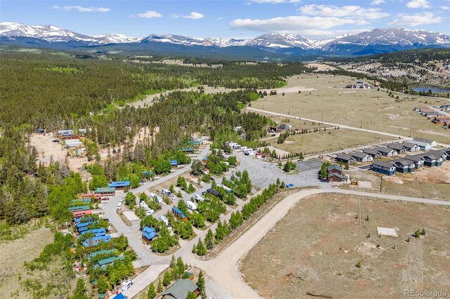 67 Sunshine Park, Fairplay, CO 80440 - photo 20