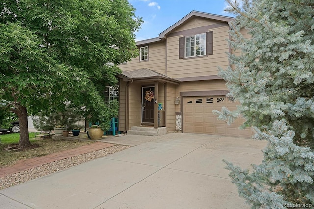 6193 Brantly Ave, Castle Rock, CO 80104 - photo 2