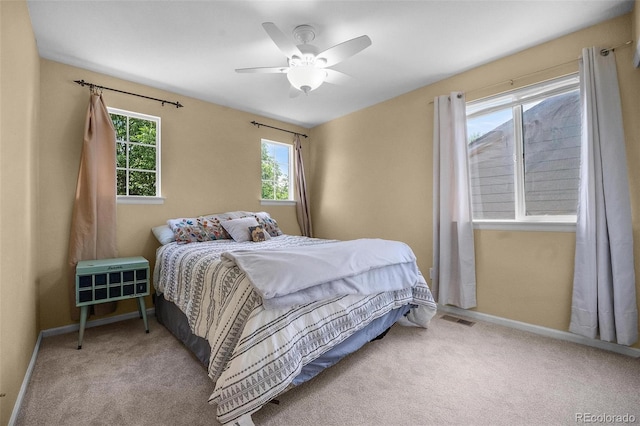 6193 Brantly Ave, Castle Rock, CO 80104 - photo 26