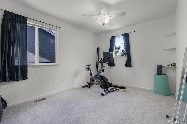 6193 Brantly Ave, Castle Rock, CO 80104 - photo 28