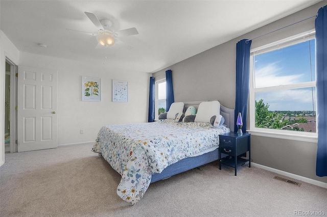 6193 Brantly Ave, Castle Rock, CO 80104 - photo 36