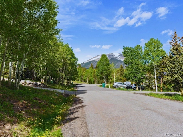 0251 Fawn Ct, Silverthorne, CO 80498 - view of asphalt street with a mountain view