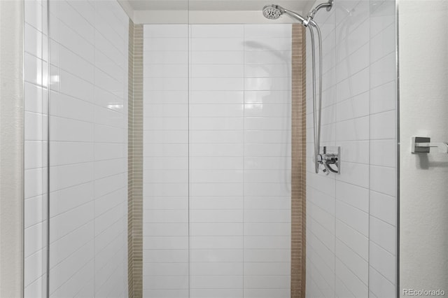 bathroom view of a shower stall