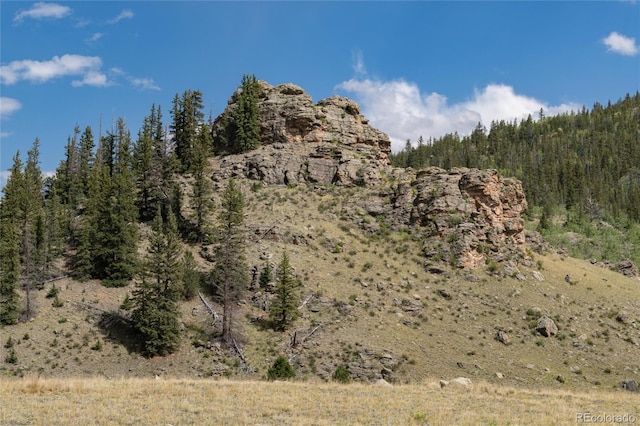 63 Welsh Cob Ln, Jefferson, CO 80456 - mountain view with a heavily wooded area