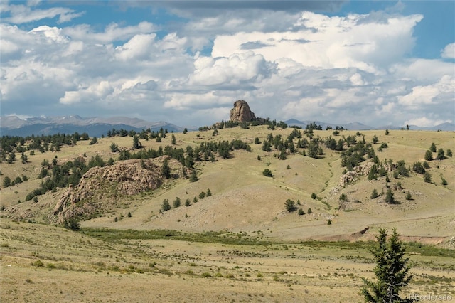 63 Welsh Cob Ln, Jefferson, CO 80456 - mountain view featuring rural landscape