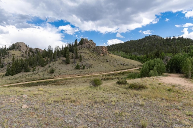 63 Welsh Cob Ln, Jefferson, CO 80456 - mountain view with a forest