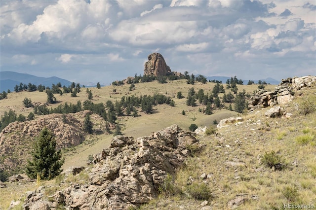 63 Welsh Cob Ln, Jefferson, CO 80456 - view of mountain backdrop