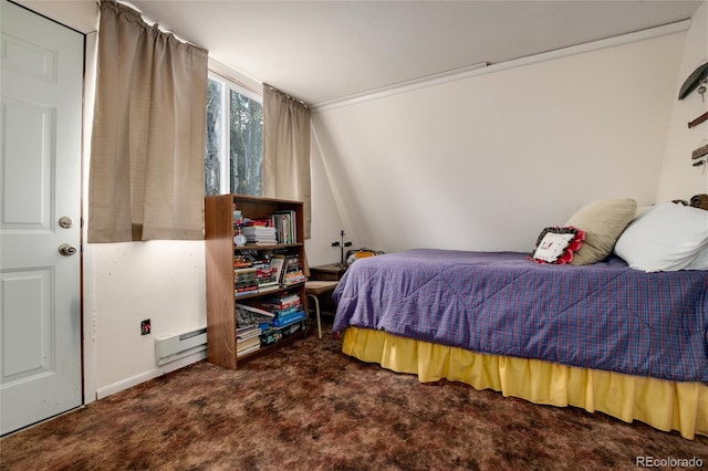 63 Welsh Cob Ln, Jefferson, CO 80456 - carpeted bedroom with baseboards