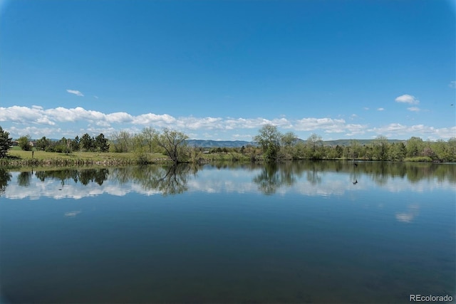 property view of water