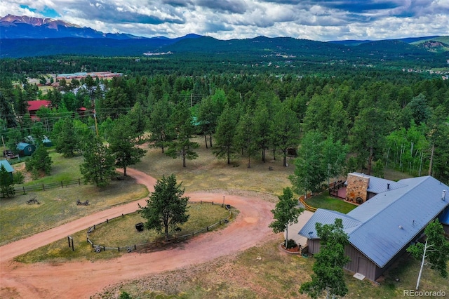 birds eye view of property with a mountain view