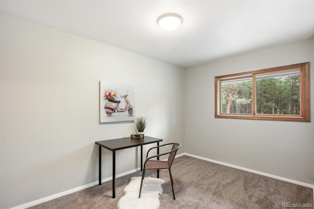 office with carpet and baseboards